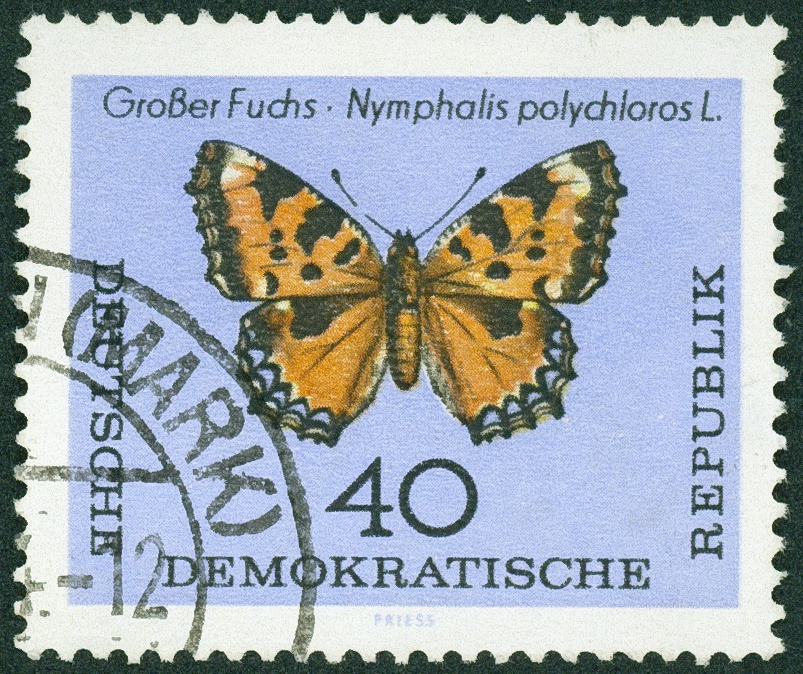 Lot 1385 - ddr - Hettinger Auktion Auktion 54 Lot 1385 - ddr - Hettinger Auktion Auktion 54